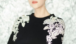 苗圃主演的电视剧大全,苗圃影视生涯精彩剧作集锦