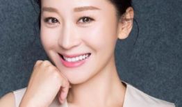 苗圃主演的电视剧大全,苗圃影视生涯精彩剧作集锦