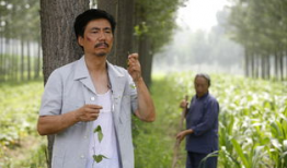 范明电视剧,从喜剧演员到电视剧导演的华丽转身