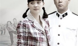 父母爱情电视剧免费观看完整版,重温经典，免费观看完整版，重温家庭温情岁月