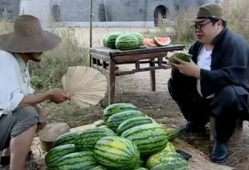 黑料社区吃瓜爆料入口,吃瓜爆料入口大揭秘！