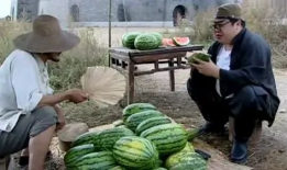 黑料社区吃瓜爆料入口,吃瓜爆料入口大揭秘！