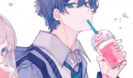 cp动漫,青春校园的甜蜜邂逅与成长之旅