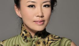 马丽演过的电视剧