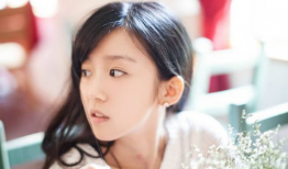 宋伊人电视剧,演绎传奇人生，绽放荧屏魅力