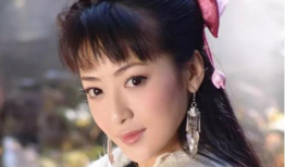 陈紫函主演的电视剧,宫廷情仇与爱恨交织的传奇人生