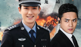 天网行动电视剧,正义之网，守护平安