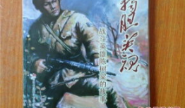 独胆英雄电视剧,烽火岁月里的传奇抗战