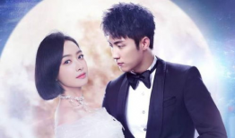 特别好看的电视剧,揭秘年度最受瞩目电视剧