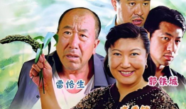 电视剧农村电视剧,农村生活的温馨画卷