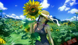 3d肉动漫在线观看,探索3D肉动漫的奇幻世界