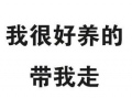 吃瓜爆料博主纯文字,吃瓜博主独家爆料，带你走进明星幕后生活