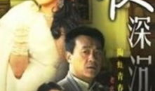 夜深沉电视剧,暗夜迷踪，情感纠葛