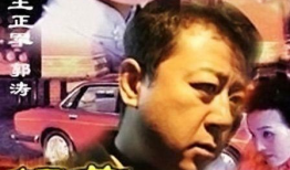 相煎上海滩 电视剧,风云变幻的滩涂传奇