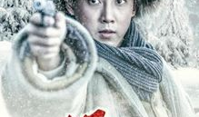 林海雪原电视剧共多少集,共XX集的传奇故事