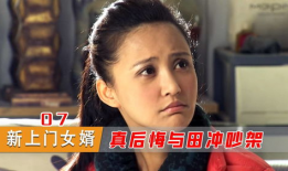田冲倒插门电视剧,命运转折的农村奋斗传奇