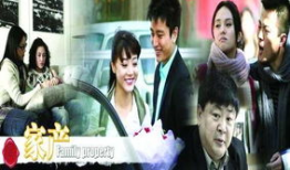 家产 电视剧,家族兴衰的传奇故事