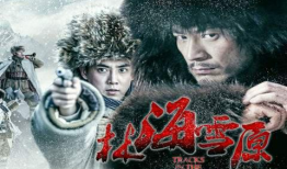 林海雪原电视剧共多少集,共XX集的传奇故事