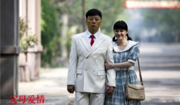 父母爱情电视剧全集,岁月流转中的家庭温情画卷